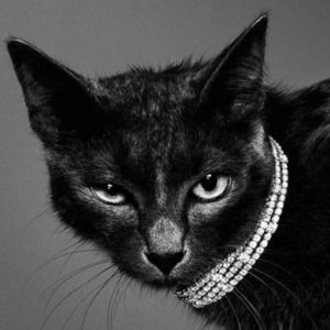 Meet your Posher, Mandie